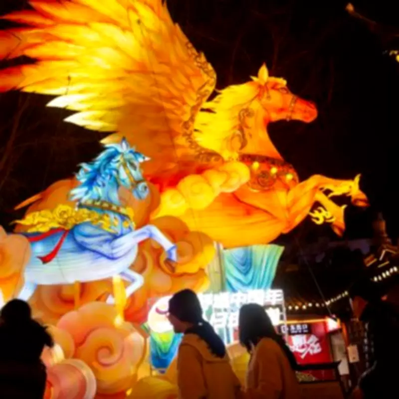 Five Chinese Zodiac Signs Face Challenges in 2026 Year of the Fire Horse