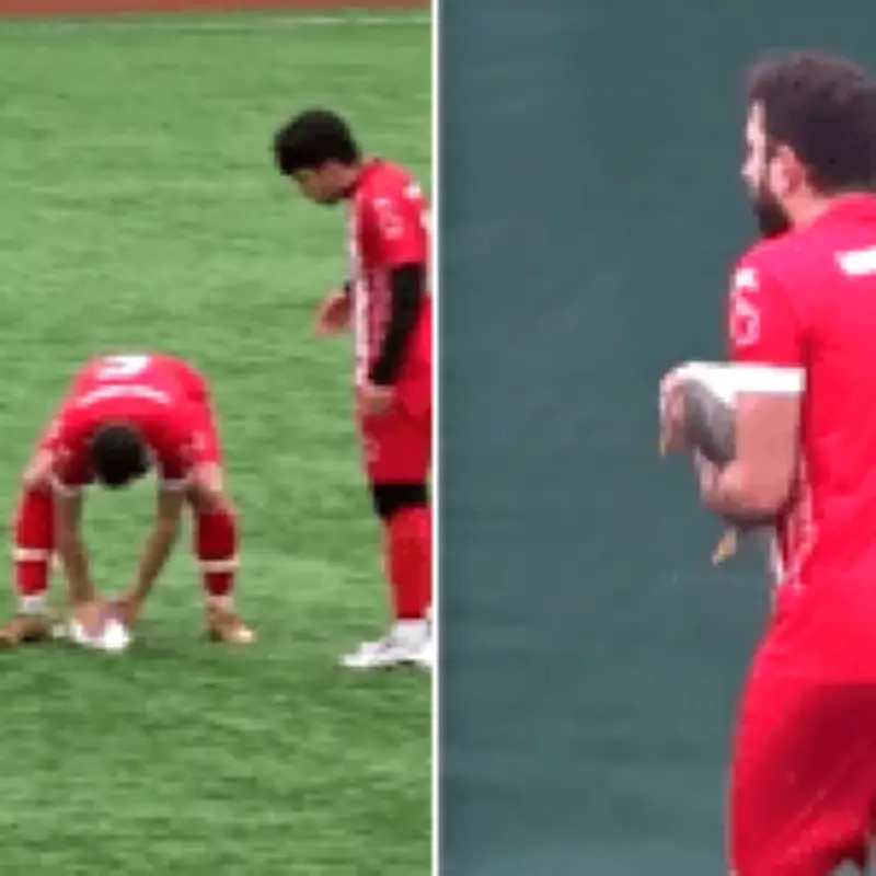 Football Captain Saves Seagull with CPR After Goal Kick Incident