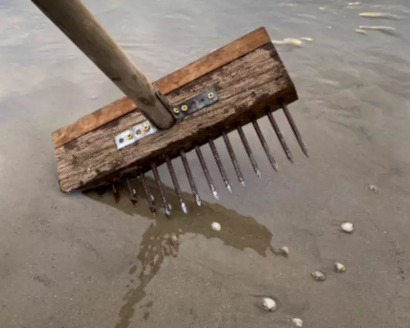 Foraging for Cockles: A Coastal Ritual That Reconnects Us to Nature