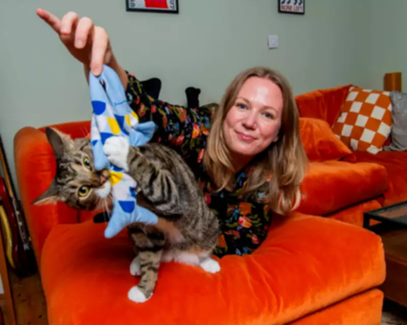 From Job Quitter to Cat-Sitter: How Feline Friendships Transformed My London Life