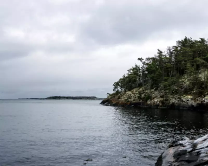 German Tourists Rescued After Floating Sauna Adventure Goes Wrong in Sweden