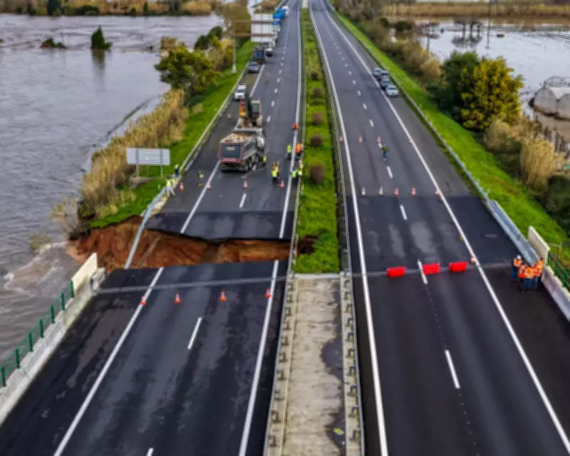 Global Snapshot: Highway Collapse, Robot Dogs, and Olympic Triumphs