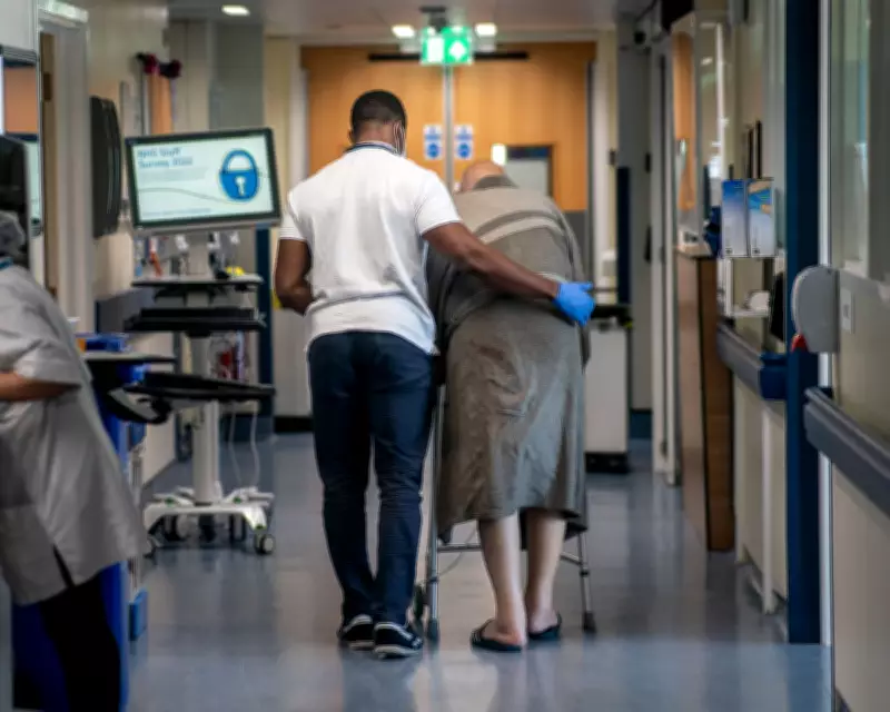 Government's £2bn Cancer Plan Aims for 75% Survival Rate by 2035 in England