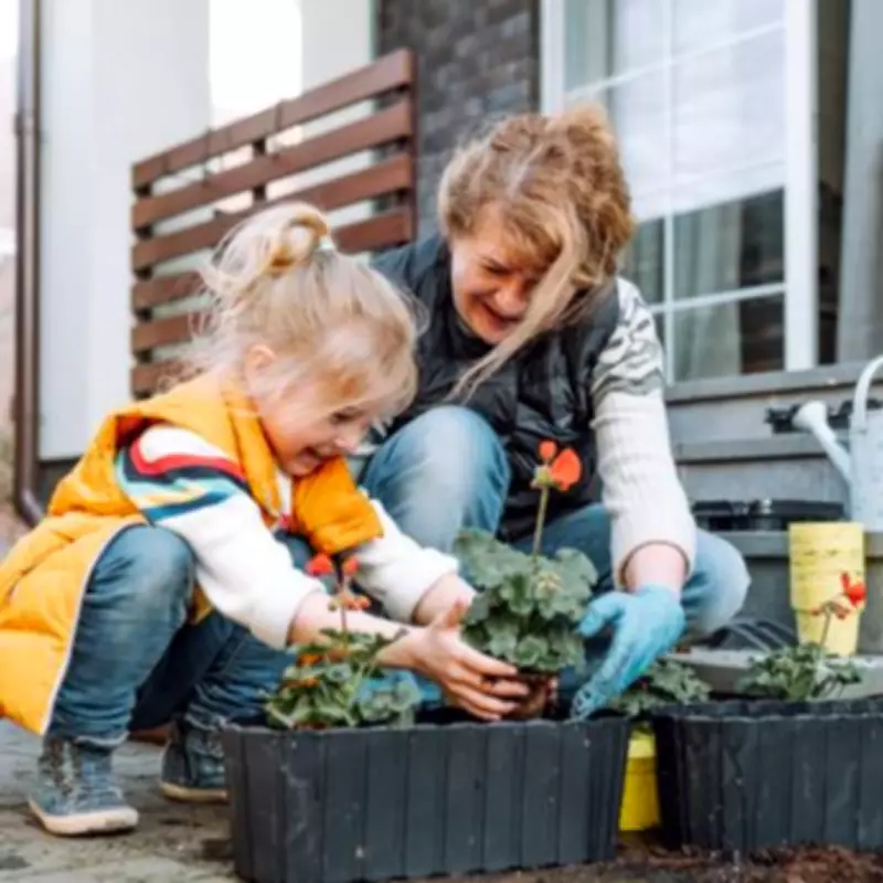 Grandparents Could Boost State Pension by £330 Annually Through Childcare Credits