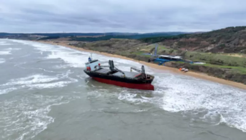 Grounded Cargo Ship and Sea Goddess: Tuesday's Top Photos