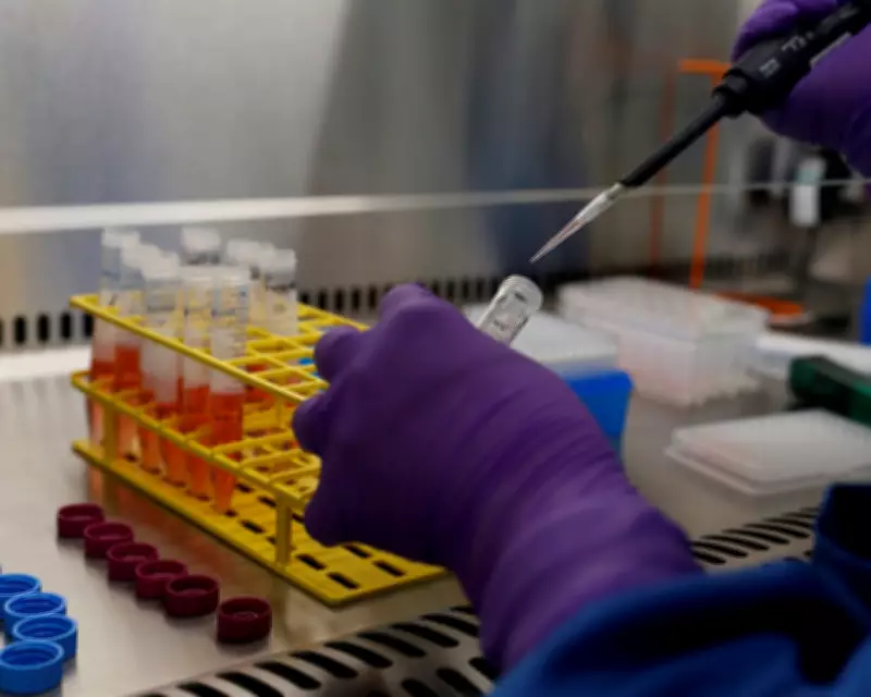 GSK Share Price Surges Past £20 on Strong 2025 Financial Results