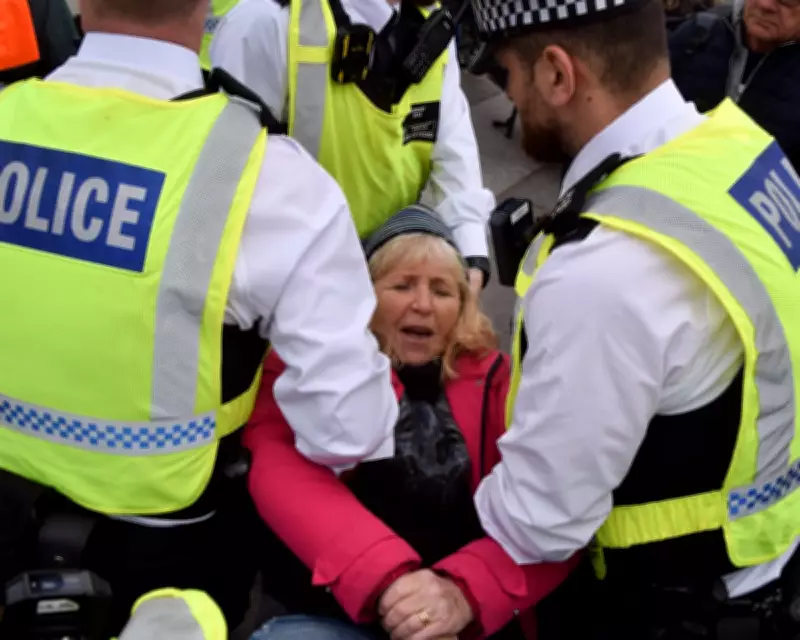 Guardian View: Banning Palestine Action Was a Step Too Far