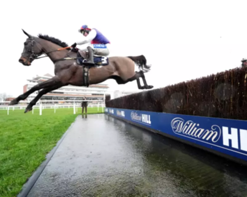 Haiti Couleurs Triumphs in Denman Chase, Boosts Gold Cup Hopes