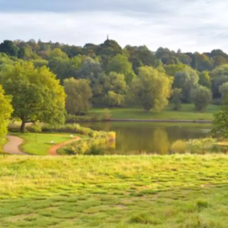 Hampstead Heath Island Transformed into Wildlife Sanctuary with £50,000 Fundraising
