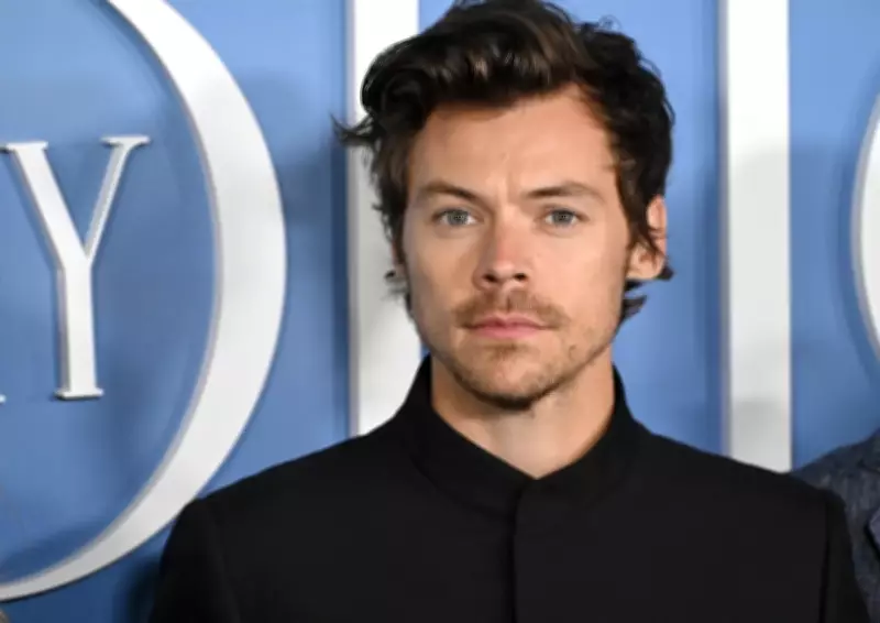 Harry Styles to Curate Meltdown 2026 Festival at Southbank Centre