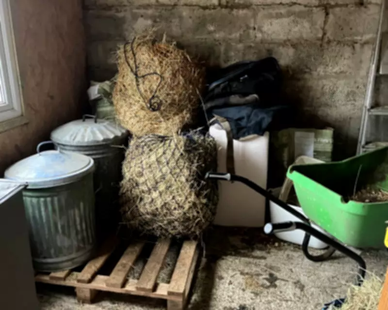 Hay Stocks Running Low: The Lingering Impact of Last Year's Drought