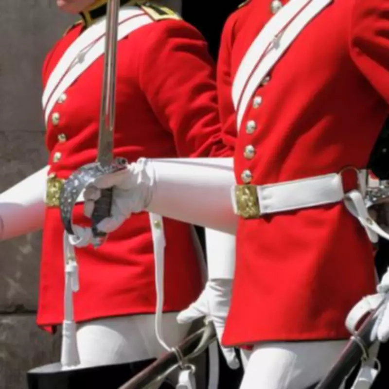 Household Cavalry Soldier Describes Tackling Man in Hyde Park Sexual Assault Attempt