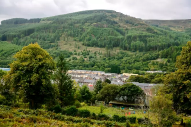 How a Welsh Village Saved Its Forest Through Community Stewardship