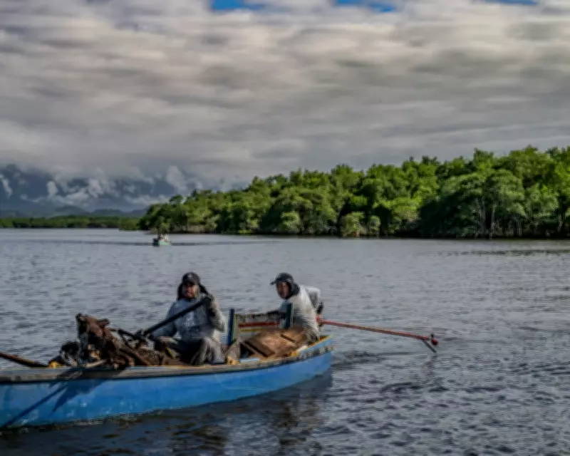 How Brazilian Fishers Are Reviving Rio's Polluted Guanabara Bay Through Mangrove Restoration