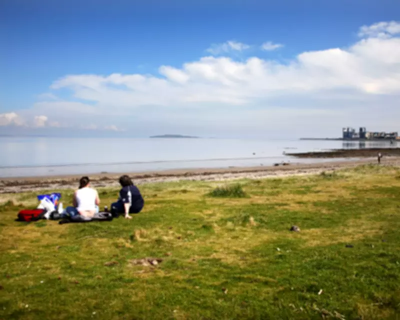 Human-Made Materials Constitute Up to Half of UK Beach Sediments, Study Reveals