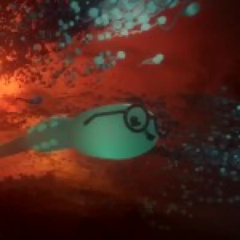 Indie Game 'Become' Lets Players Race as a Sperm Through Reproductive System