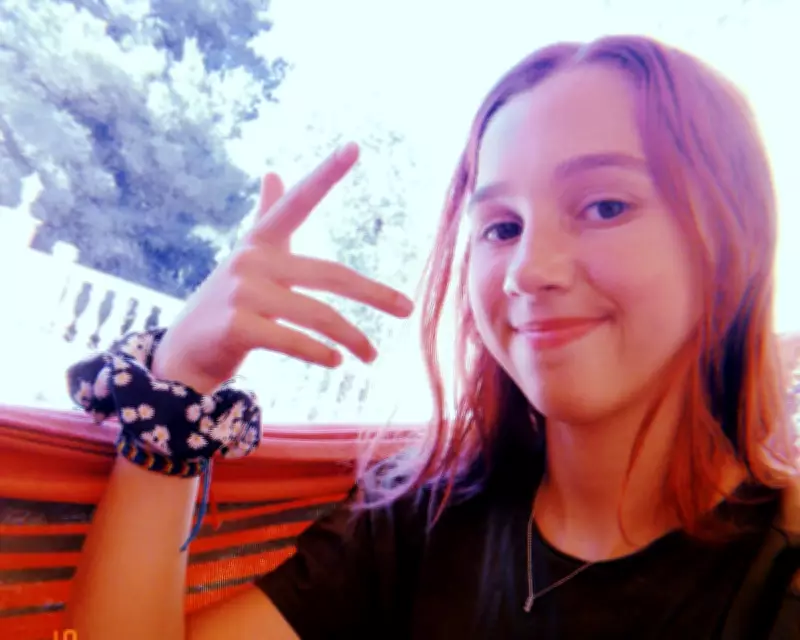 Inquest into Ellame Ford-Dunn's death highlights critical shortage of mental health beds