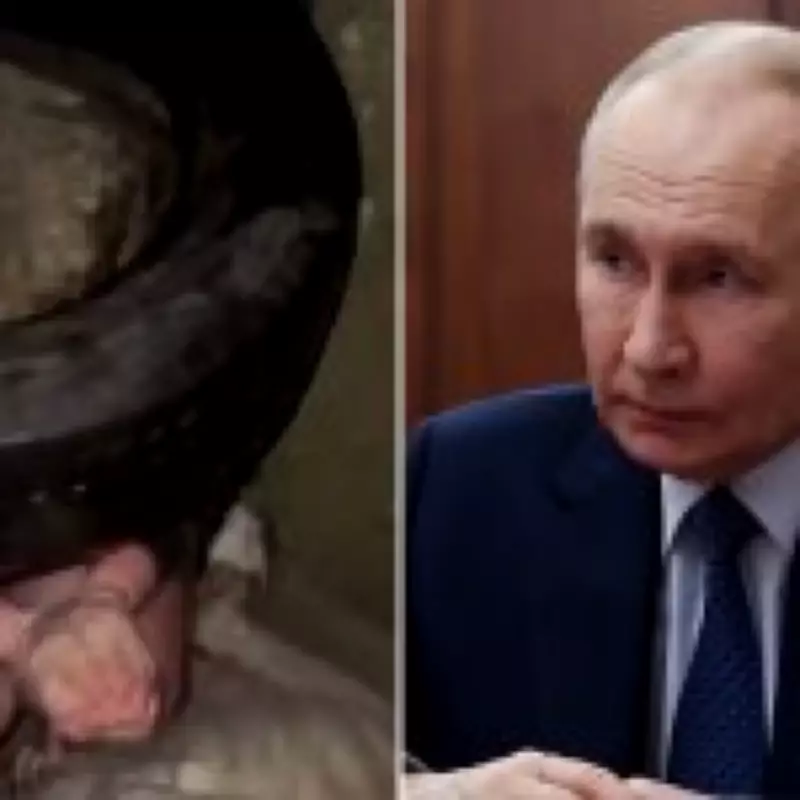 Inside Putin's Torture Gulags: New Methods Targeting Deserters Revealed