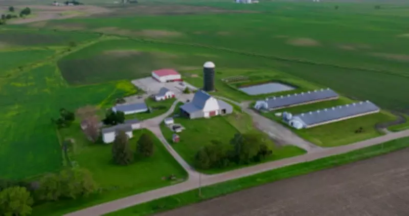 Iowa Farm Transforms from Hog Barns to Mushroom Haven, Defying Industrial Agriculture