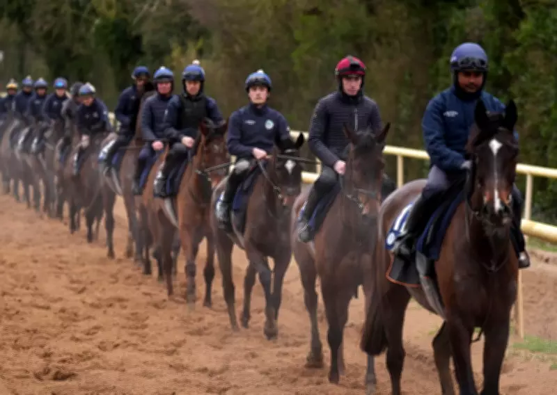 Irish Racing Army Mobilizes for Cheltenham Festival Dominance