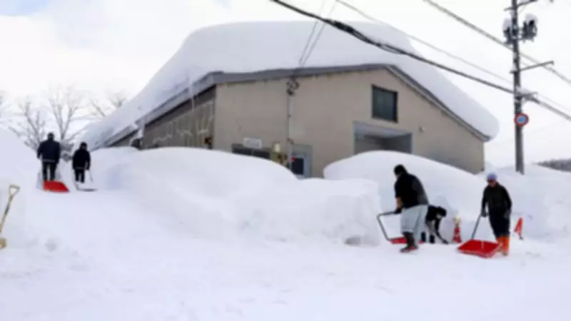 Japan Snow Crisis: 35 Dead, 400 Injured as Heavy Snowfall Continues