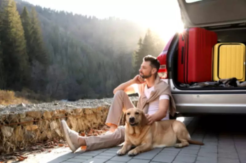 KAYAK Unveils UK's Top Dog-Friendly Slow Travel Destinations for 2026