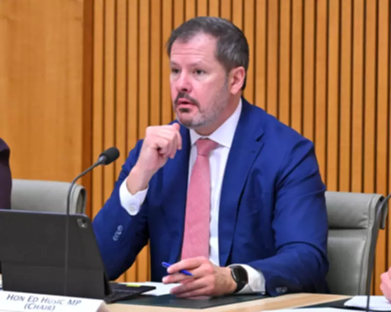 Labor's Ed Husic Voices Concerns Over Israeli President's Visit