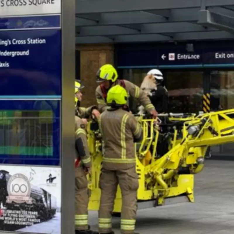 London Firefighters Face Triple Cancer Risk from Toxic Exposure