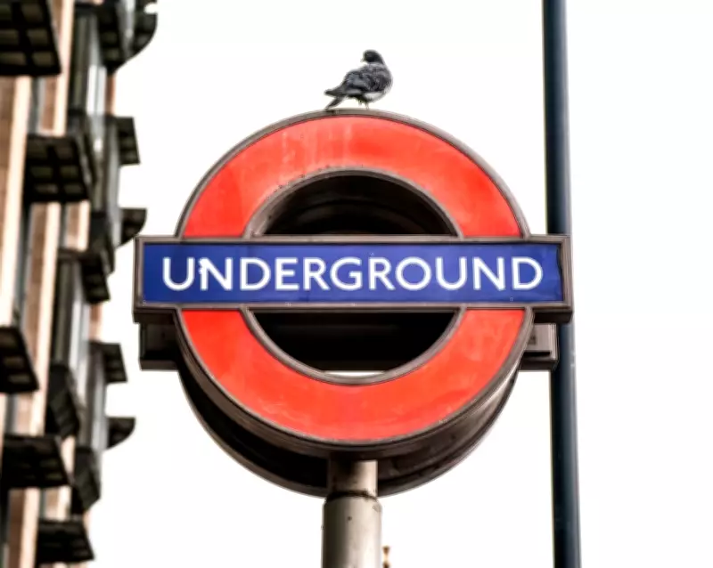 London Travel Disruption: Full List of Tube and Train Closures for February 20-22, 2026