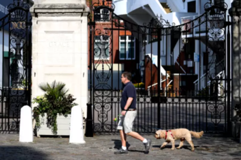 London's Top Dog Names for 2026 Revealed: Luna Leads the Pack