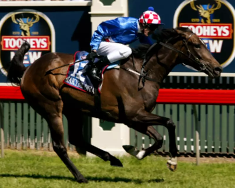 Makybe Diva, Triple Melbourne Cup Champion, Dies at Age 26