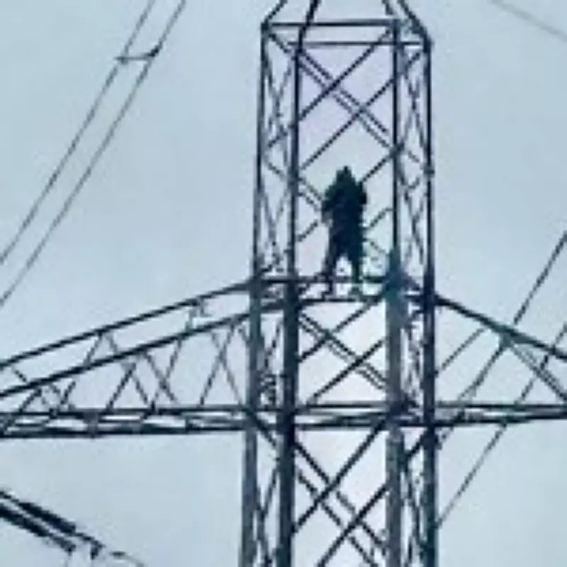 Man Climbs Power Pylon in Brighouse, Cutting Electricity to 20,000 Homes