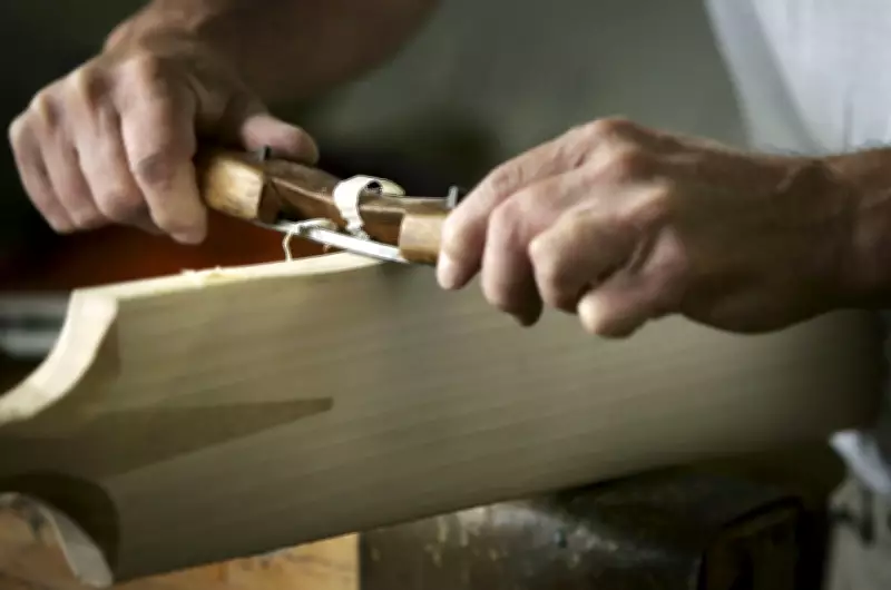 MCC Relaxes Cricket Bat Rules as Willow Costs Soar