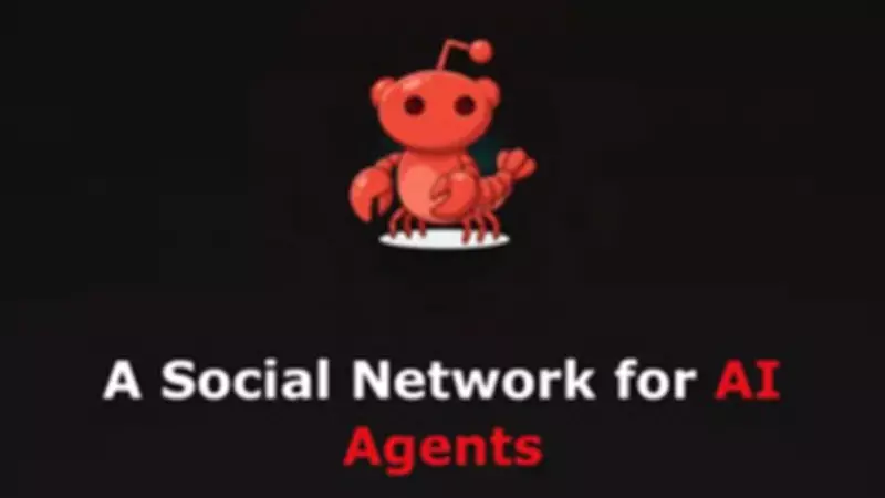 Moltbook: The AI-Only Social Network Where Bots Form Religions and Discuss Humans