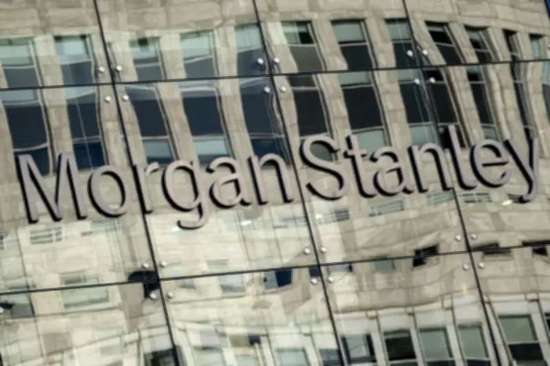 Morgan Stanley Appoints Former DMO Chief Stheeman to Senior Role