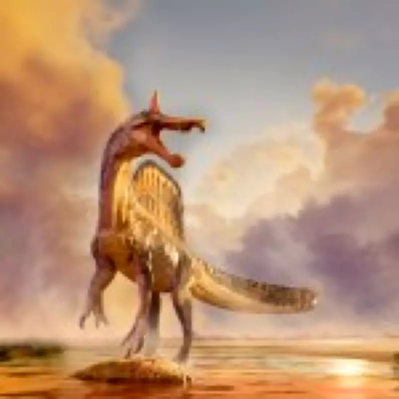 New 'Hell-Heron' Dinosaur Discovery Sparks 'First Dragon' Theories