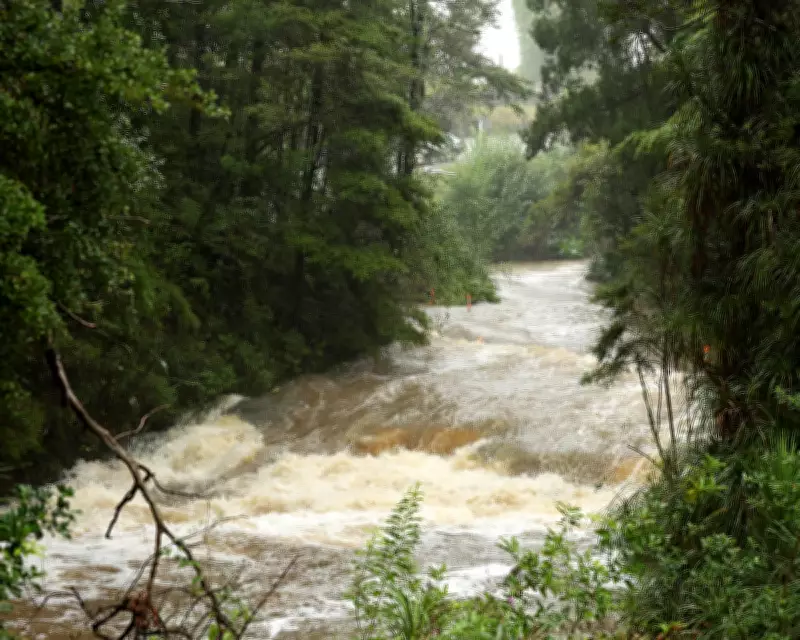 New Zealand Hit by Severe Storms and Widespread Flooding as Low Pressure System Lingers
