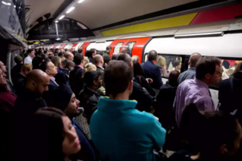 Northern Line: Every London Tube Stop and the Areas It Connects