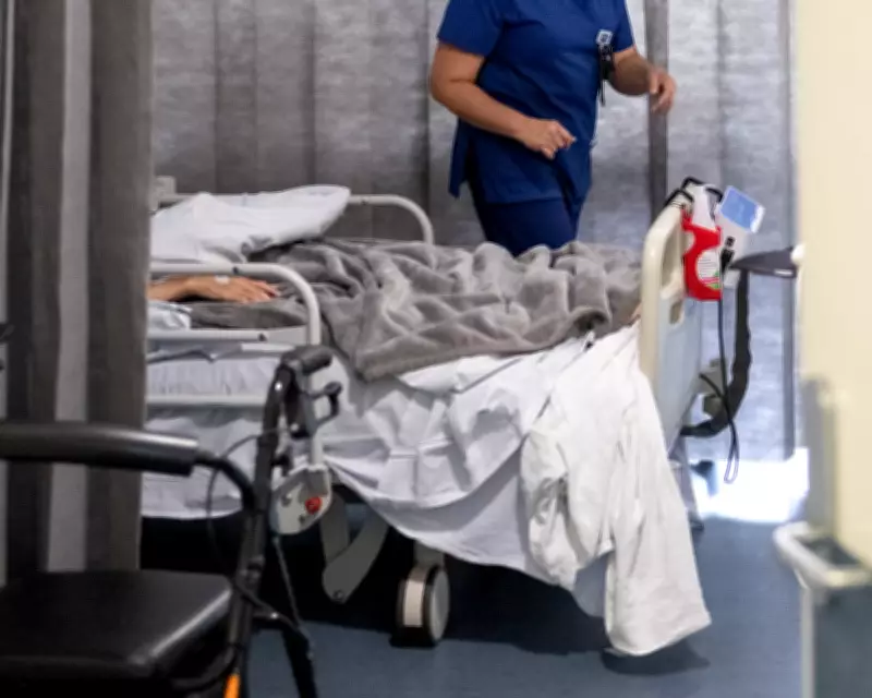 NSW Mental Health System in Crisis as Escaped Patients Highlight Failures