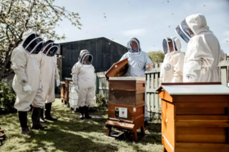 Office Beehives Buzz Across UK Workplaces to Boost Mental Health and Team Spirit