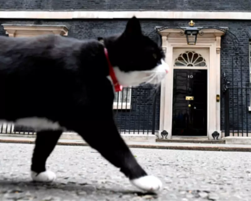 Palmerston, the Foreign Office's Celebrated 'Diplocat,' Passes Away in Bermuda