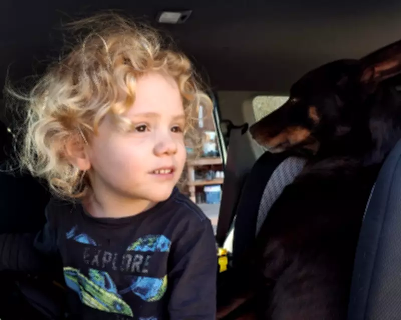 Parents of Missing Four-Year-Old Gus Lamont Plead for Answers in Major Crime Case