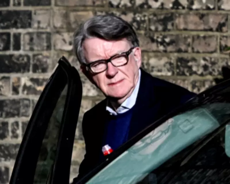 Peter Mandelson's Dramatic Fall from UK Ambassador to Epstein Scandal Arrest