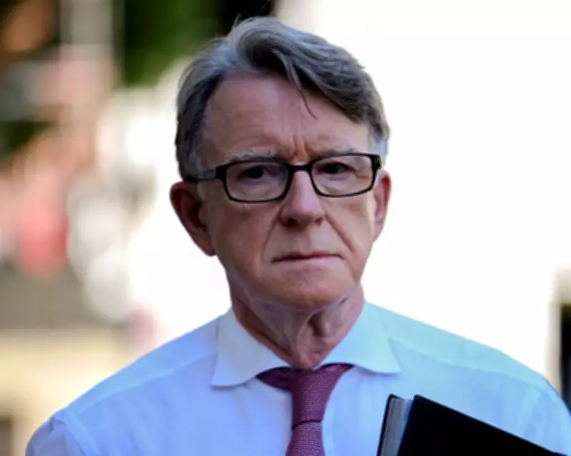 Peter Mandelson's Political Isolation Deepens Amid Epstein Revelations