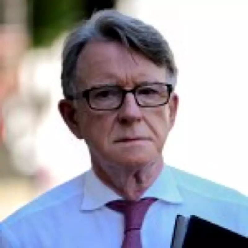 Police Probe Mandelson Over Epstein Files Leak Allegations
