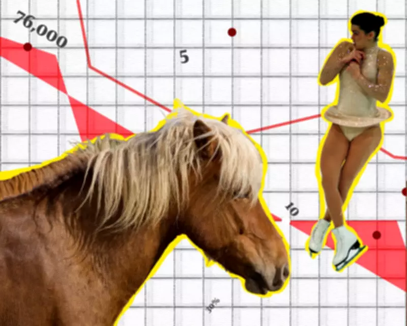 Political Donations, Figure Skating, and the Year of the Horse