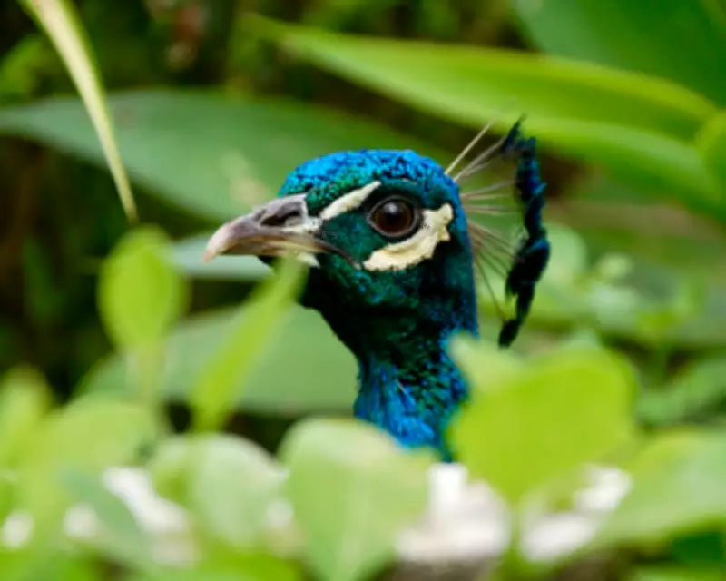 Readers' Best Photographs: A Global Gallery of Moments