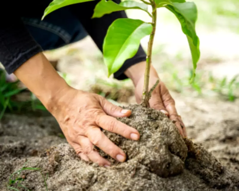 Readers Share Visionary Ways to Spend $1 Billion for Social Good