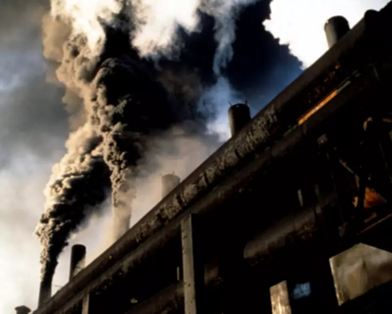 Romania's Green Revolution: Shattering the Link Between Growth and Emissions