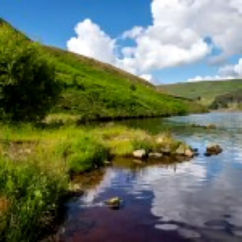 Saddleworth Moor: The UK Beauty Spot with a Haunting Past Dubbed 'The Gates of Hell'